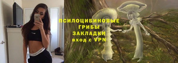 PSILOCYBIN Вязьма