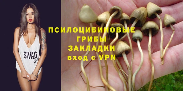 мескалин Медвежьегорск