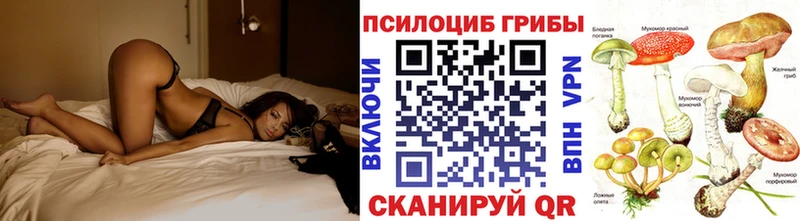 Псилоцибиновые грибы Psilocybine cubensis где купить Енисейск